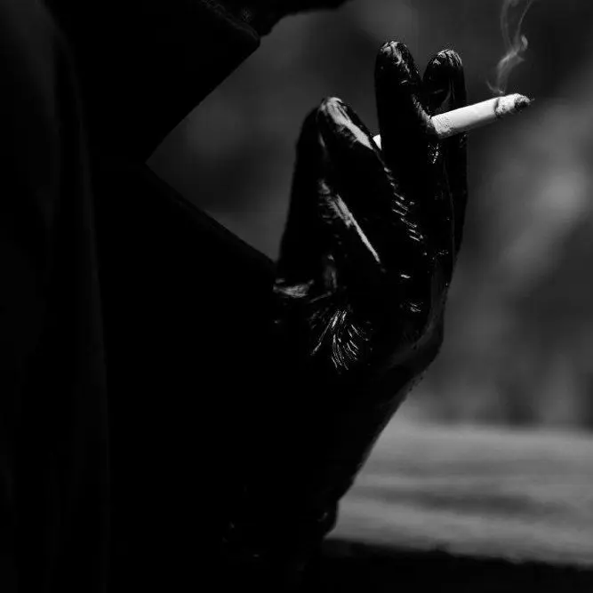 merancoy의 CARBONE