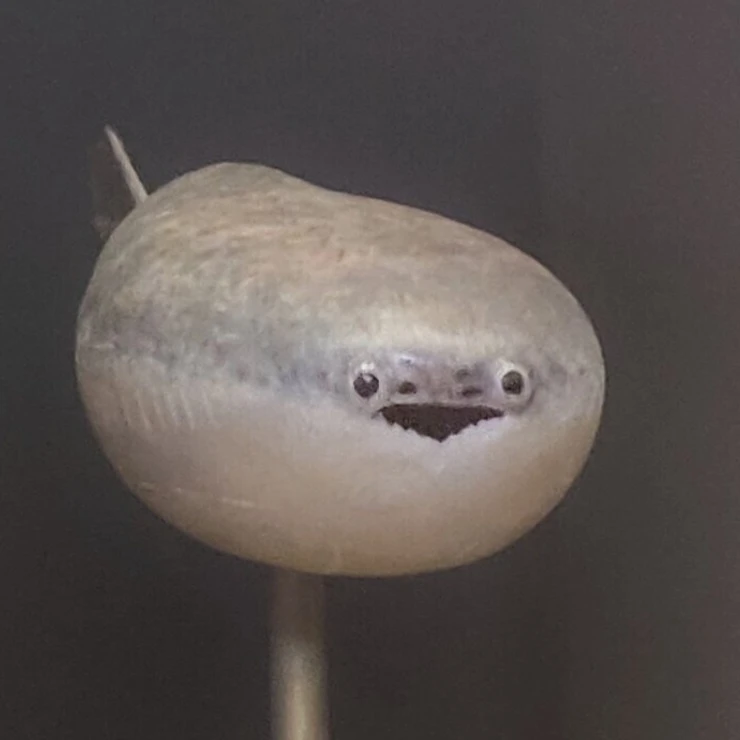 주인장