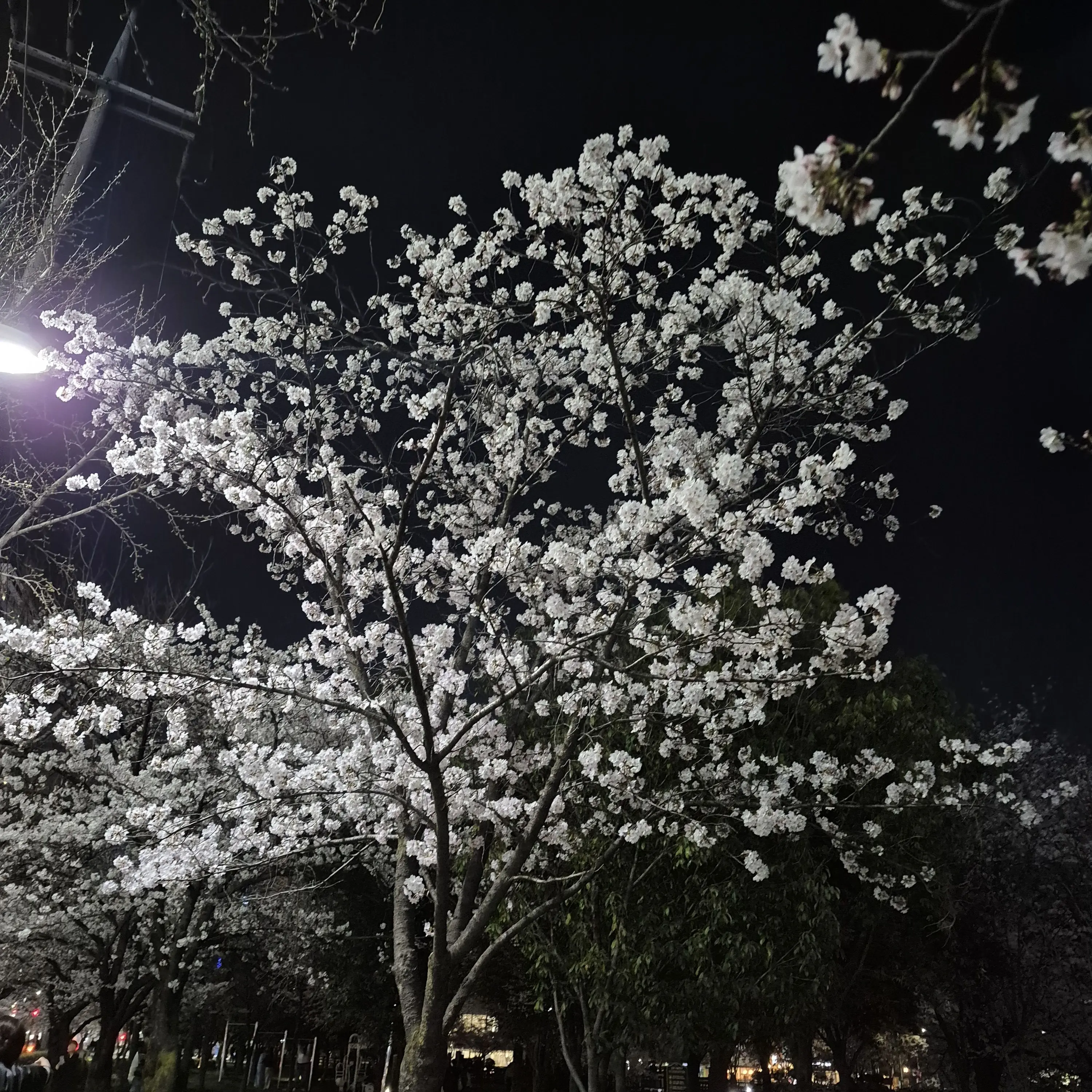 MOA1023의 박성진