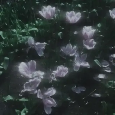 Profile image of 라프산두
