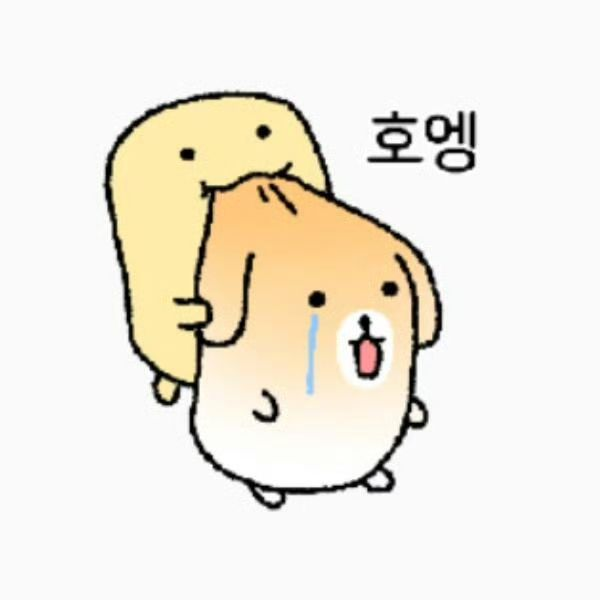 당신의 대표 이미지