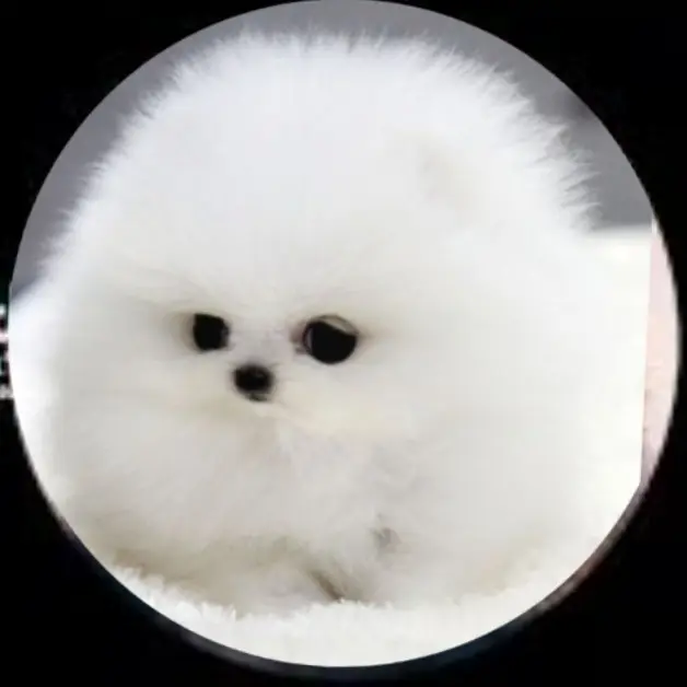 4760의 털숭이