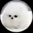 털숭이