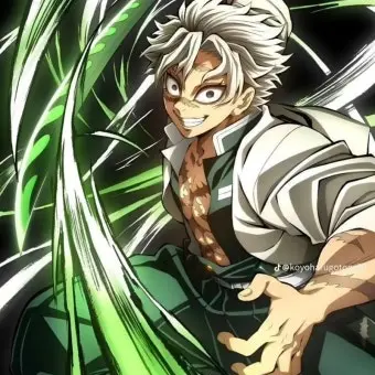 Profile image of 시나즈가와 사네미