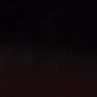 Profile image of Liam