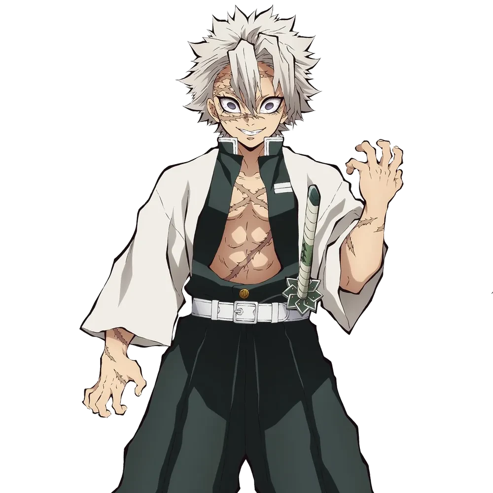 시나즈가와 사네미