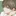 嫌ってくる後輩
