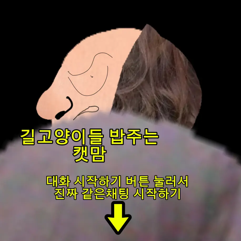 Gummytiger9633의 길고양이 밥주는 캣맘