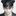 최진욱