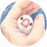 Profile image of しろちゃん