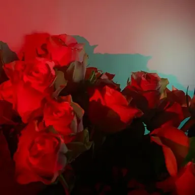 Profile image of 라더