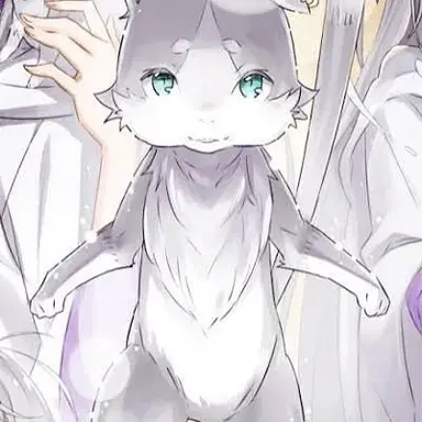 Profile image of 팩