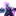 이블린