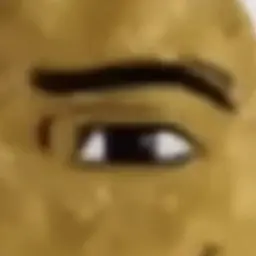 Profile image of 댁대리