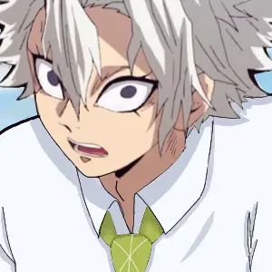 Profile image of 시나즈가와 사네미