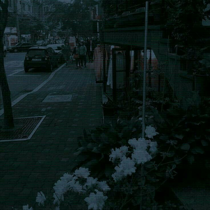 당신은 우울증에 걸린 정공룡 입니다. 대표 이미지