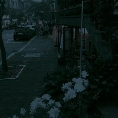 Profile image of 박덕개