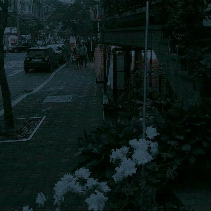 박덕개