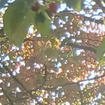 Profile image of 벨키