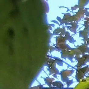 Profile image of 우유참치