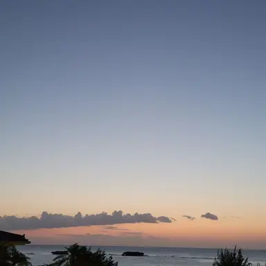 Profile image of レイラ