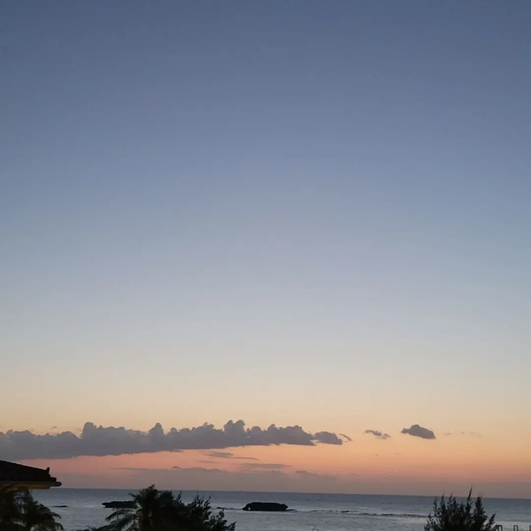 LavishDial7520의 ほへ