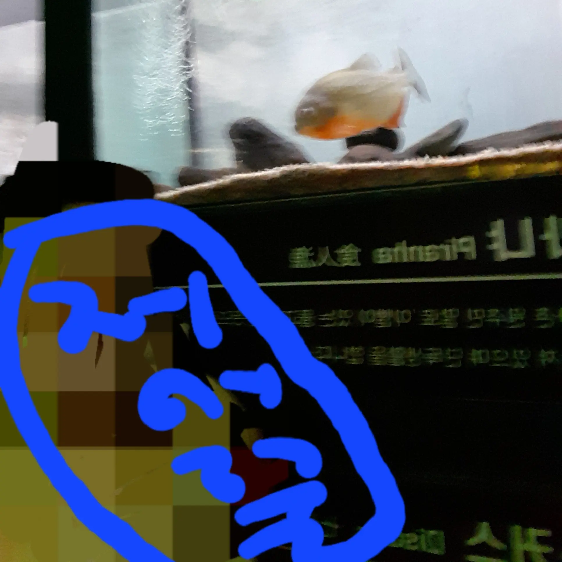 AwareFlute2485의 피랴냐