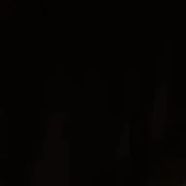 Profile image of 홍해인