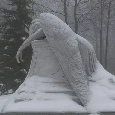 Profile image of 레를