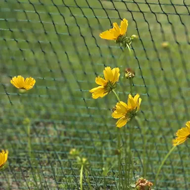 Profile image of 각별