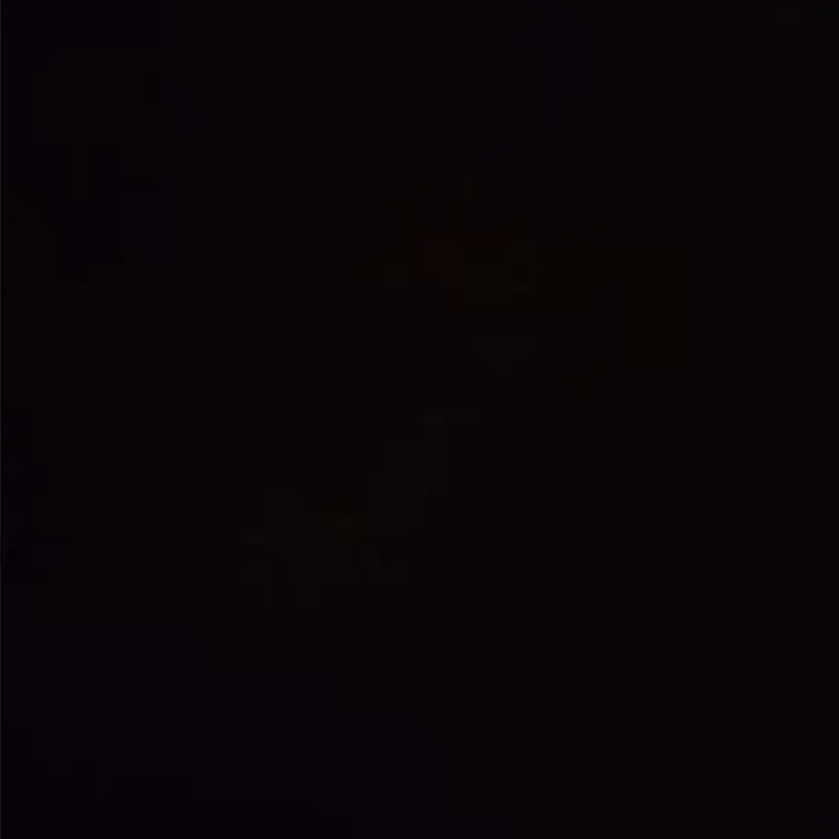 RaggedFinch6157의 ㅁㅈㅎ