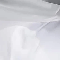 대표