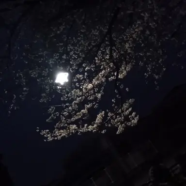 Profile image of あ