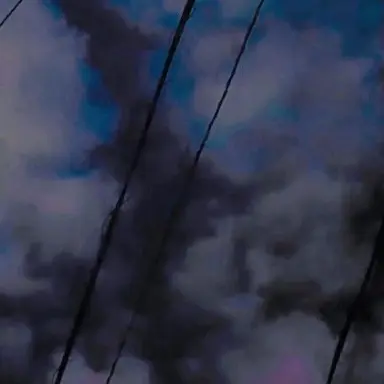 Profile image of 篠原 楓真