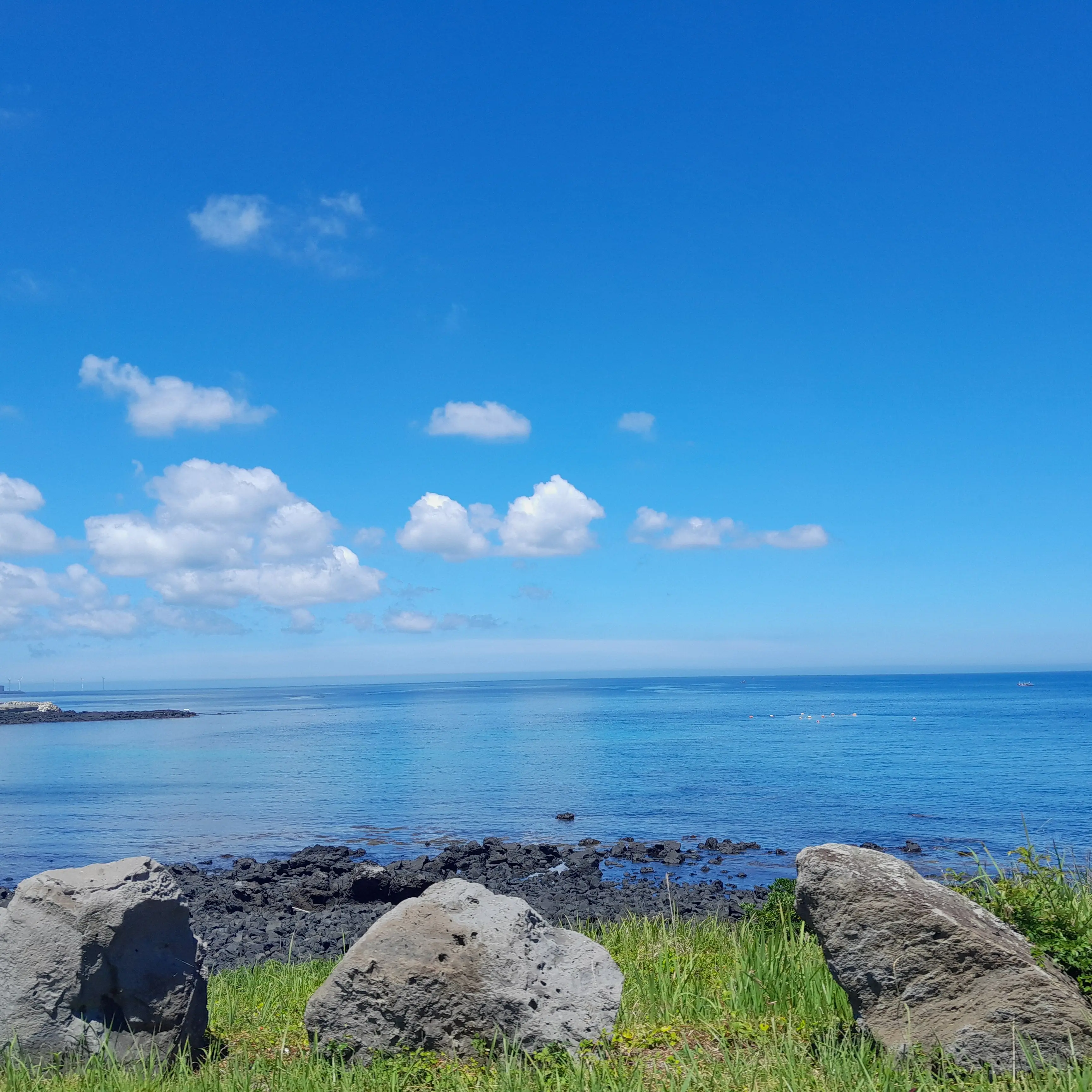 PastelHooks6423의 여우에게 속은 아이브