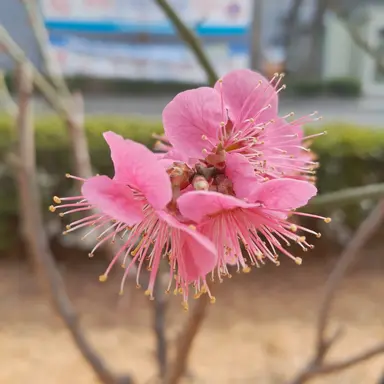 Profile image of 제작자