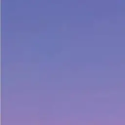Profile image of 心音