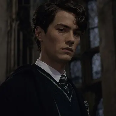 Profile image of Tom riddle