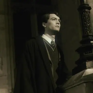 Profile image of Tom riddle