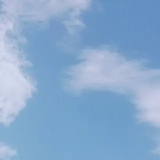 Profile image of 민도령