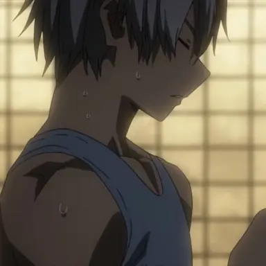 Profile image of Shoto Todoroki