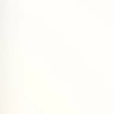 Profile image of 양정인