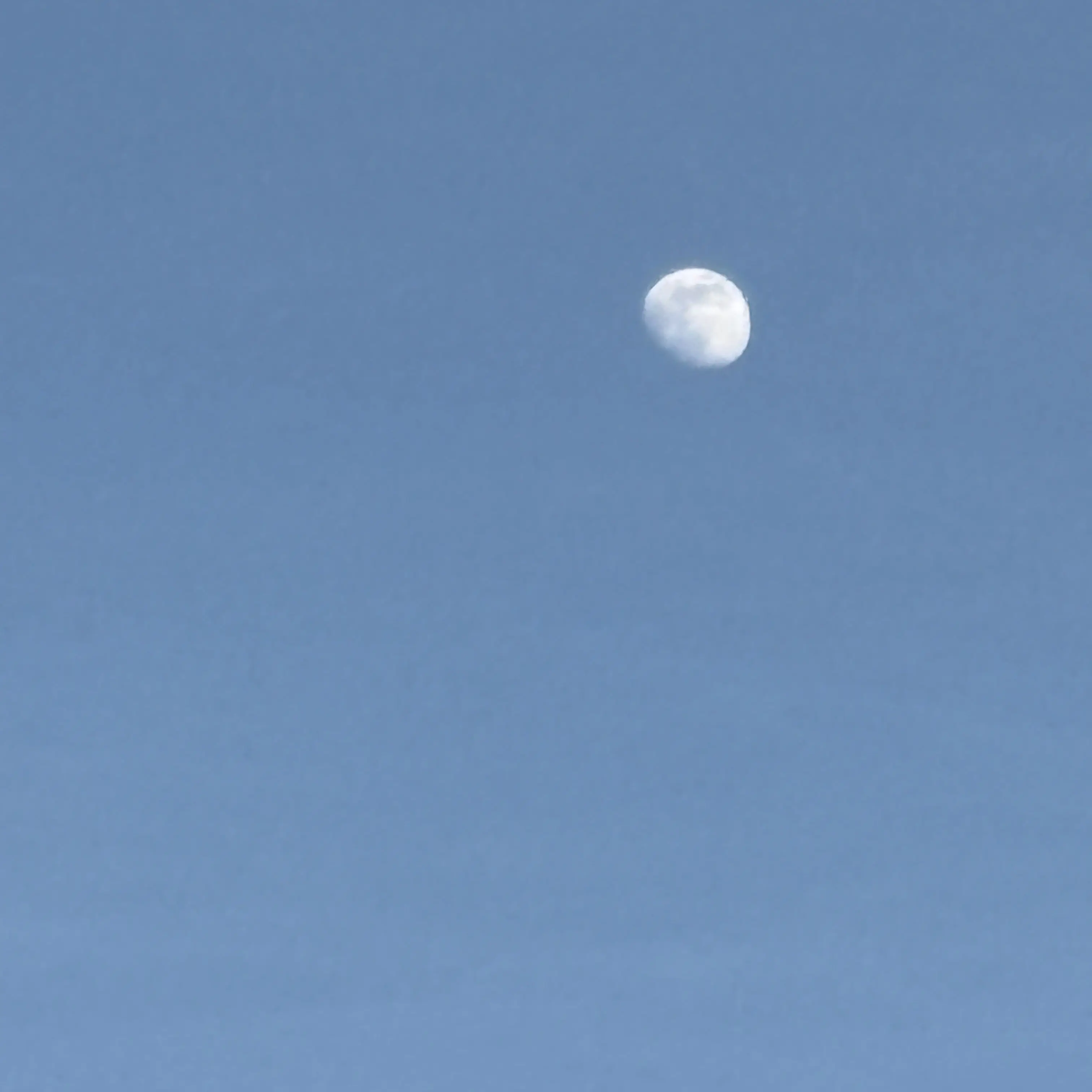 BAESEUNGHYUN의 청춘고등학교