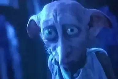 Profile image of Dobby