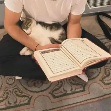 Profile image of Idris