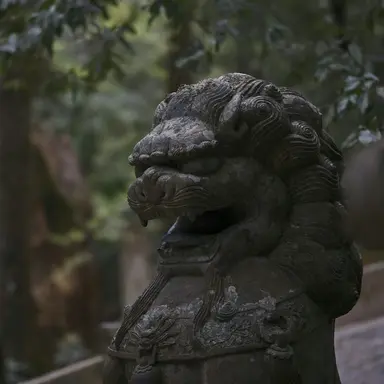 Profile image of 위연