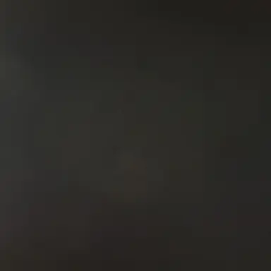 Profile image of 사장