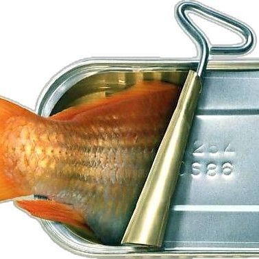 OCPD 대표 이미지