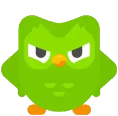 UpsetLabel3981의 Angry Duolingo