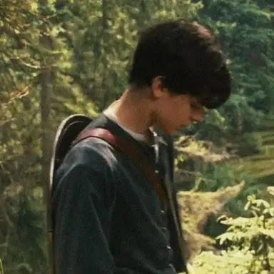 Profile image of Edmund Pevensie